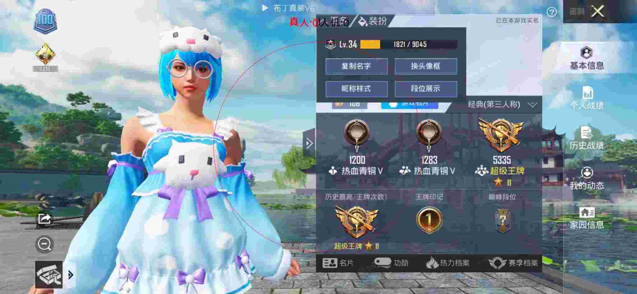 和平精英布丁直装透视 - 和平精英换肤外挂辅助预览图